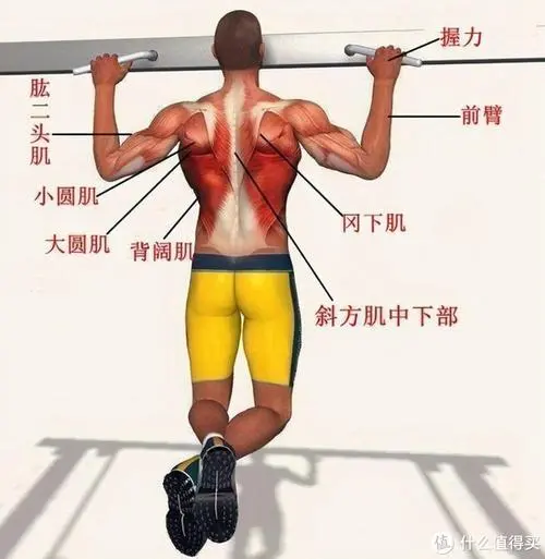 95网球拍适合什么人